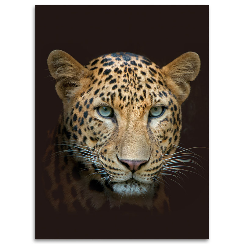 World Menagerie Kuscheldecke Levant | Wayfair.de